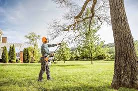  Verona, PA Tree Care Pros