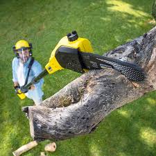 Best Firewood Processing and Delivery  in Verona, PA