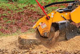 Best Hazardous Tree Removal  in Verona, PA